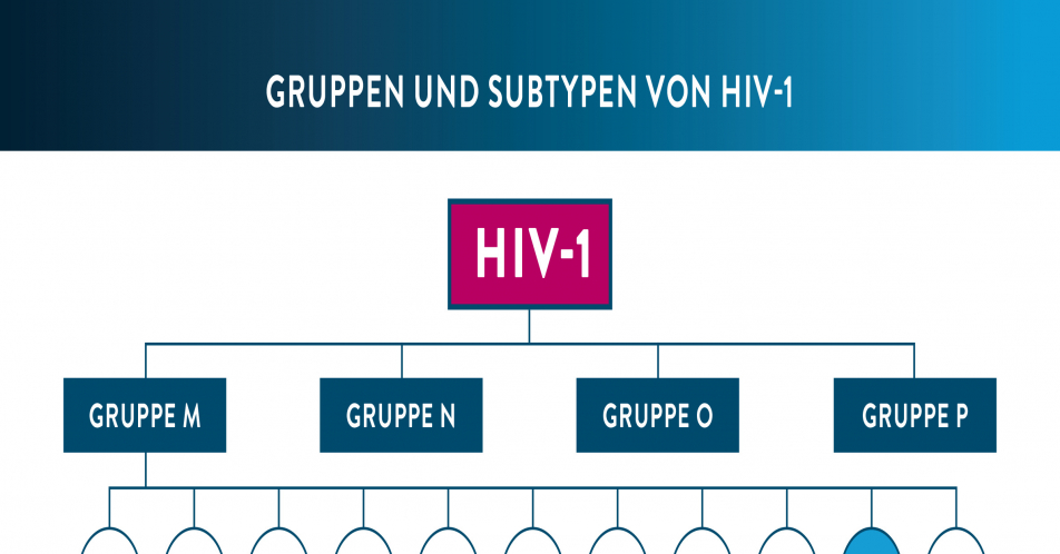 Entdeckung eines neuen HIV-Stamms: HIV-1 Gruppe M, Subtyp L